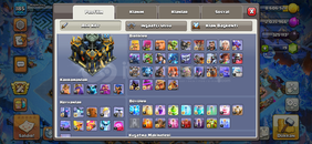 Th17 max sağlam hesap