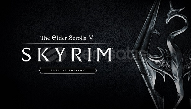 ⭐The Elder Scrolls V Skyrim Special E. + Garanti ⭐The Elder Scrolls V Skyrim Special E. + Garanti