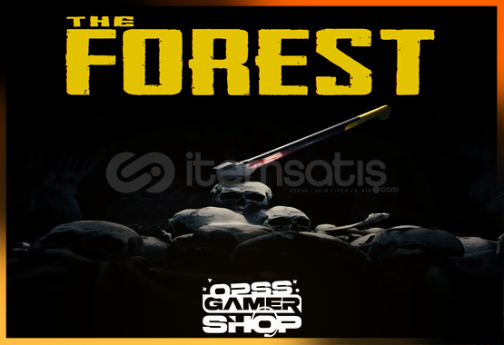 The Forest  The Forest
