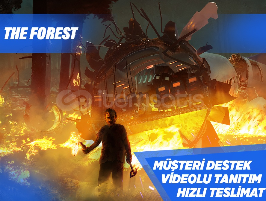 ✅ The Forest  ✅ The Forest