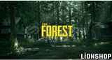 THE FOREST 