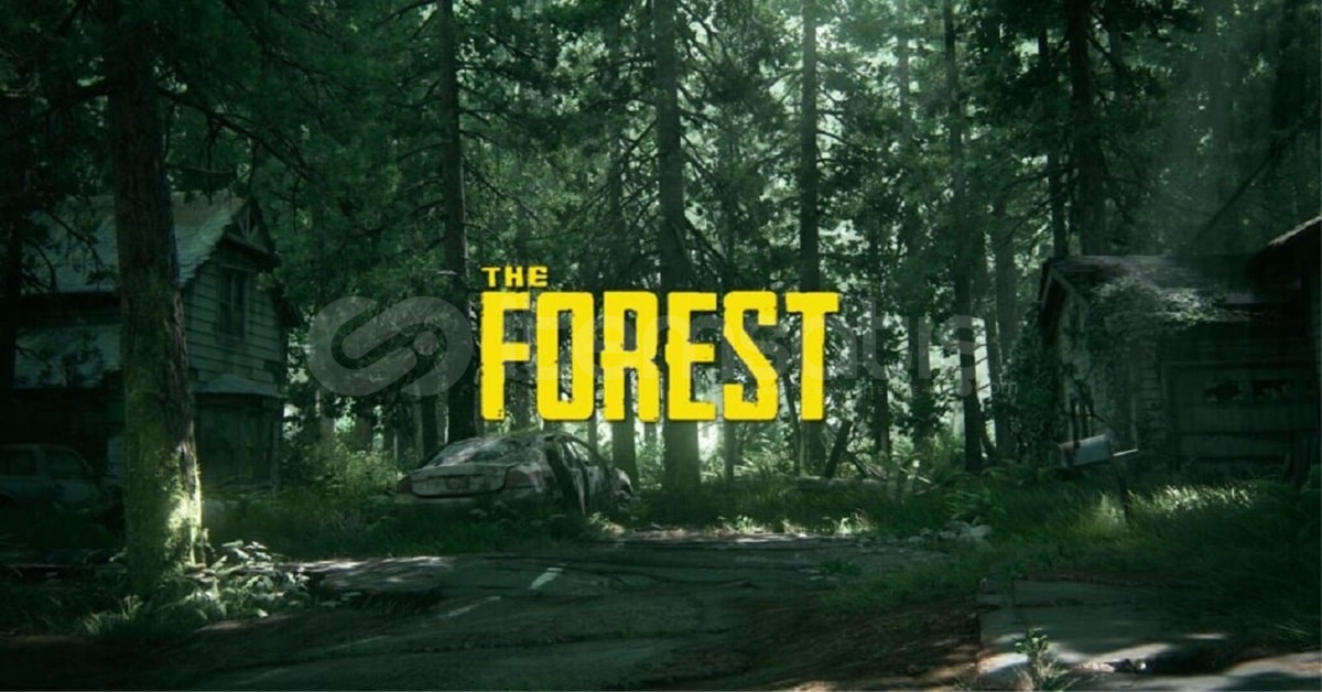 THE FOREST +GARANTİ THE FOREST +GARANTİ