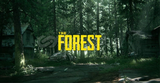 THE FOREST +GARANTİ