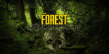 The Forest + Garanti