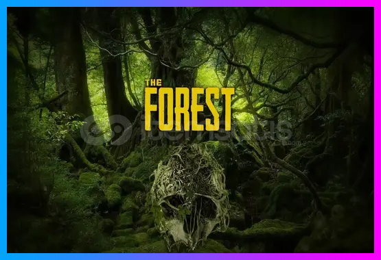 The Forest + Garanti The Forest + Garanti