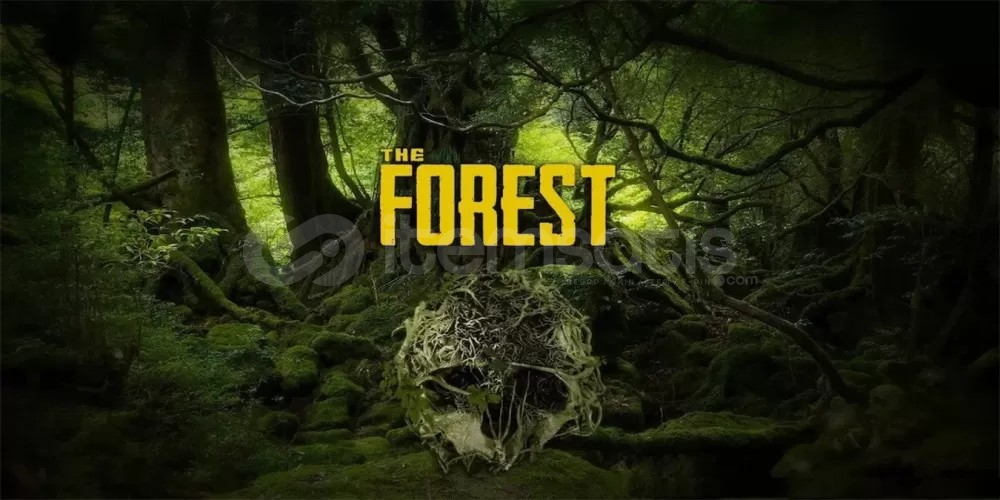 The Forest + Garanti The Forest + Garanti