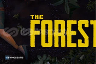 The Forest + Garanti
