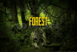 The Forest / Garanti+Destek