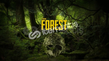 THE FOREST + GARANTİ + DESTEK