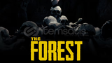 THE FOREST | GUARDSIZ + GARANTI
