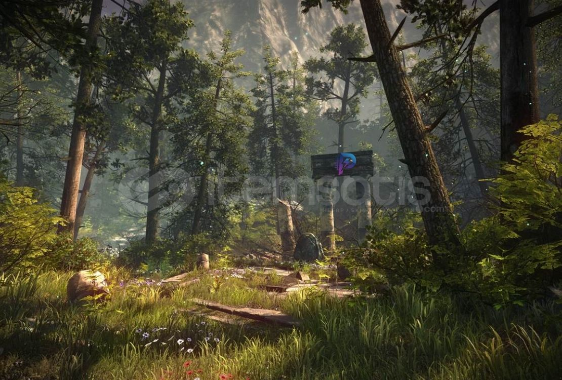 The Forest Kişisel Steam Account The Forest Kişisel Steam Account