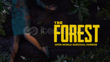 The Forest + MAİL DEĞİŞEN + ONLİNE