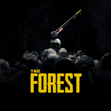 THE FOREST & SINIRSIZ GARANTI