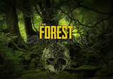The Forest Steam Hesabı 