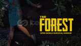 The Forest Steam Hesap