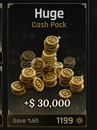 The Forge 30000 Cash Pack