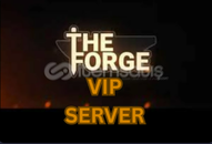 the forge private server the forge private server
