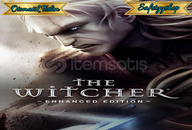 ☘️The Witcher 1 Steam + Garanti☘️