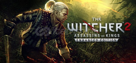 The Witcher 2