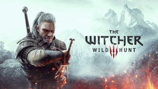 The Witcher 3 The Witcher 3