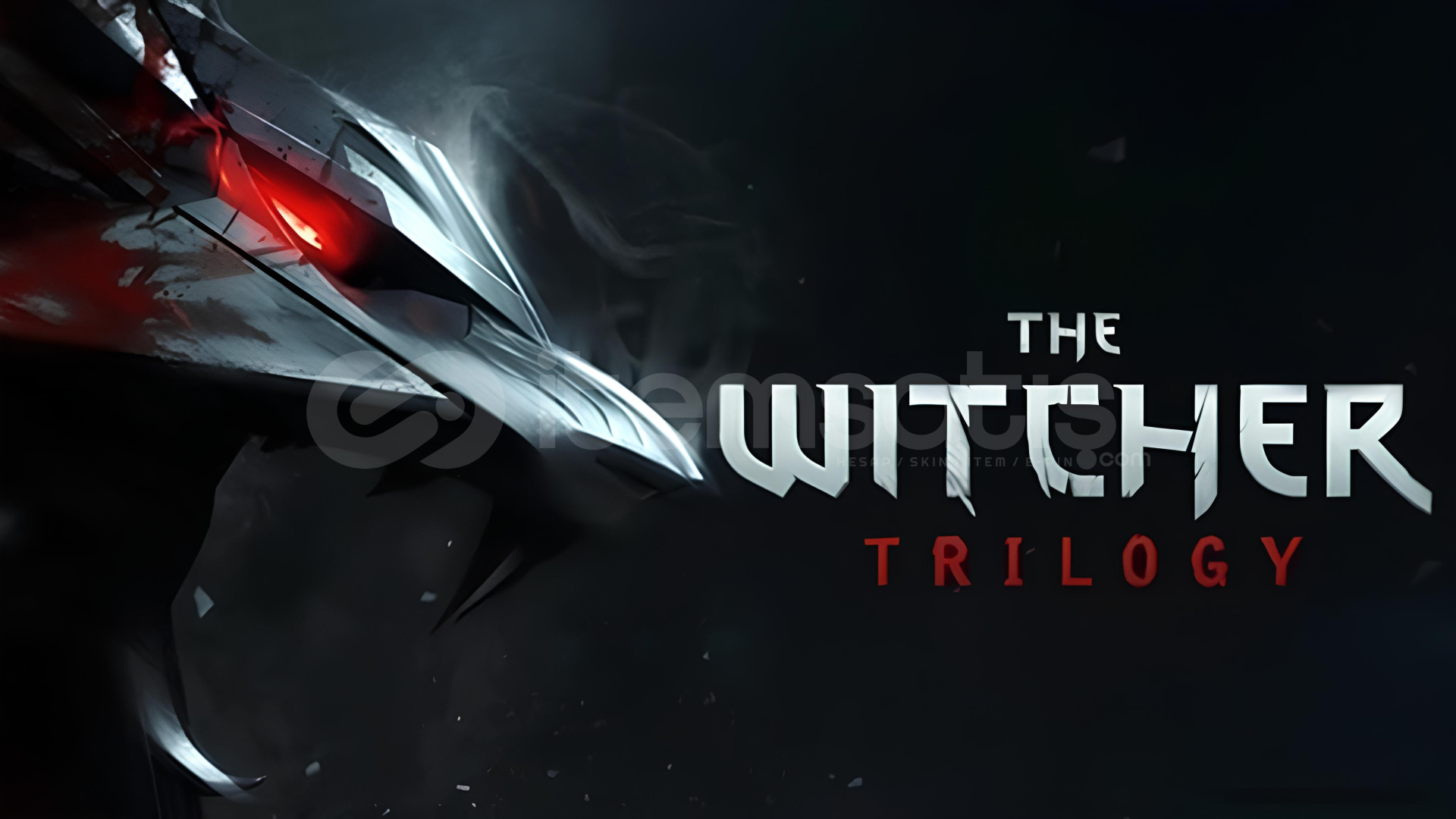 The Witcher Trilogy + Garanti The Witcher Trilogy + Garanti