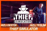 Thief Simulator