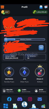 Ticarium +550 Milyon Şirket Değerli Hesap