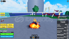 tiger meyvesi yemiş hesap tiger meyvesi yemiş hesap