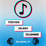 TikTok 30.000 İzlenme Paketi