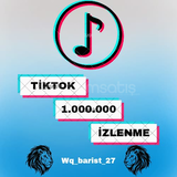 TikTok 1.000.000 İzlenme Paketi