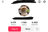 Tiktok 1100 Takipçili Fırsat Hesabı