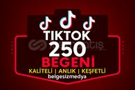 Tiktok 250 begeni hızlı data ⭐