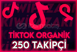 ⭐️ TİKTOK 250 ORGANİK TAKİPÇİ (KALICI + HIZLI)