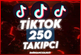 [TikTok] 250 Takipçi