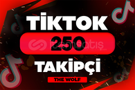 ⭐️ TikTok 250 Takipçi ⭐️