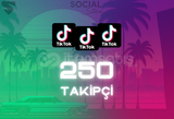 TikTok 250 Takipçi - Garantili