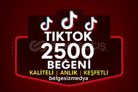 Tiktok 2500 begeni hızlı kaliteli data ⭐