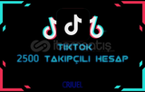 TikTok 2500 Takipçili Hesap