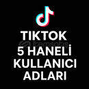 TİKTOK 5 HANELİ KULLANICI ADI TİKTOK 5 HANELİ KULLANICI ADI