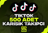 ✨TikTok 500 Adet Takipçi!