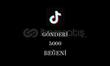 Tiktok 5000 Beğeni