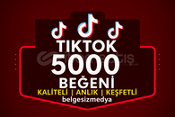 Tiktok 5000 begeni hızlı kaliteli data ⭐