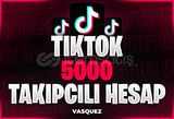 ⭐TİKTOK 5000 TAKİPÇİLİ HESAP [Mail Teslim]⭐