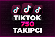 Tiktok 750 Global Karışık Takipçi