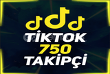 TİKTOK 750 TAKİPÇİ 