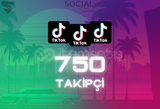 TikTok 750 Takipçi - Garantili