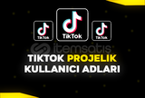 ⭐️ TikTok @hepefkar Kullanıcı Adı | Projelik ⭐️