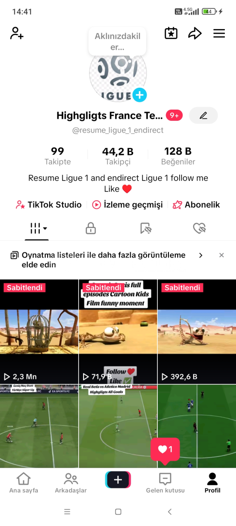 Tiktok hesabı 44 k organik Fransa hesabı içerik Tiktok hesabı 44 k organik Fransa hesabı içerik