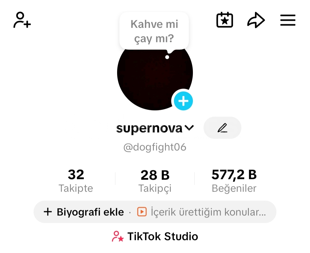 TİKTOK HESABIM SATILIKTIR 28 K TAKİPÇİ DOĞAL TİKTOK HESABIM SATILIKTIR 28 K TAKİPÇİ DOĞAL