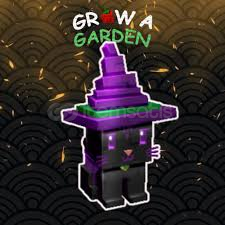 TİTANİC CADI KEDİ 77KG MAX YAŞ!! OP PET!